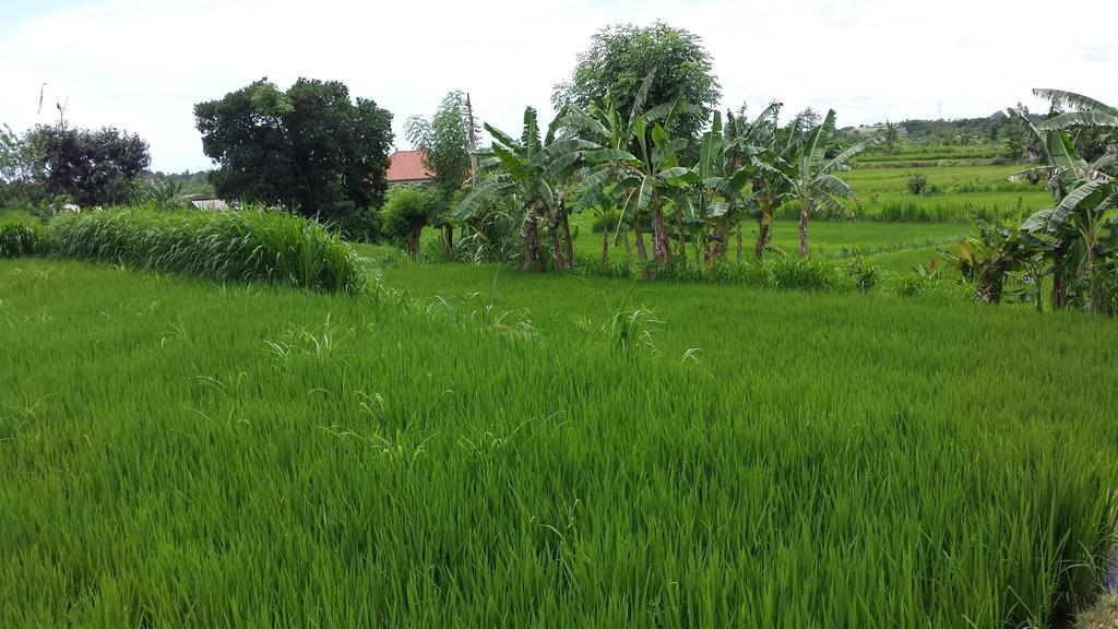 Puri Pondok Dawa Villa Kusamba Esterno foto